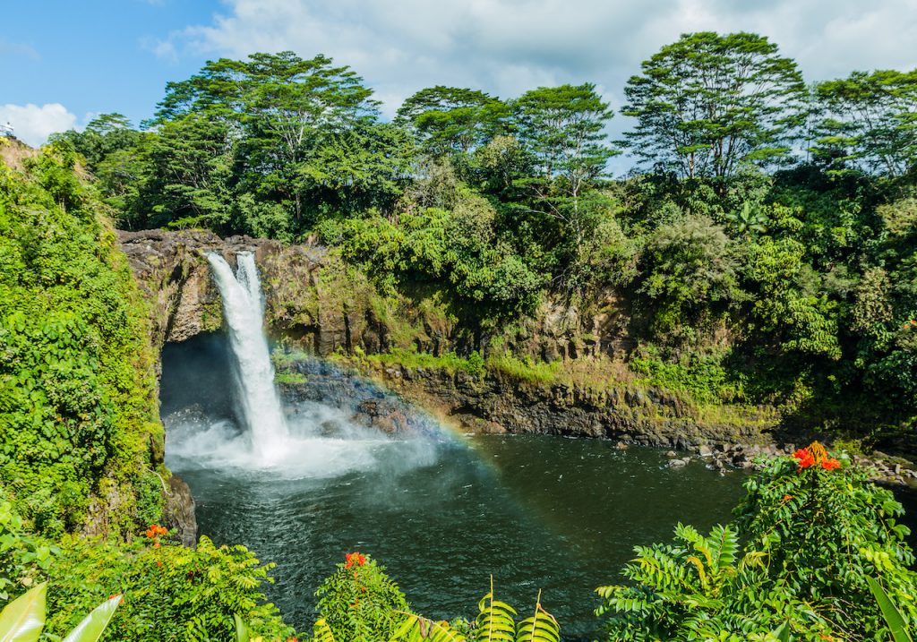 43+ Big Island Tour From Hilo