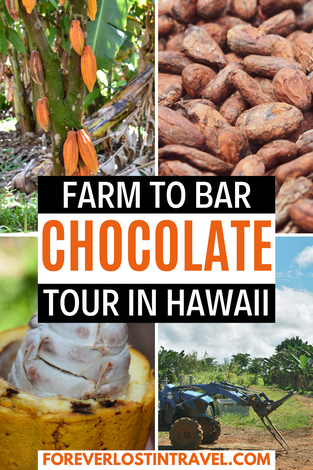 23+ Best Farm Tours Big Island Packages