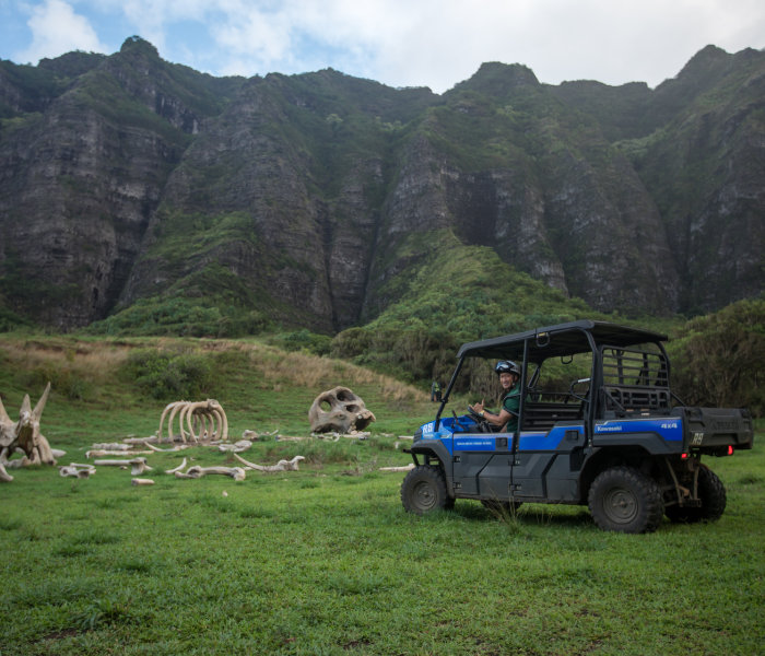 22+ Hawaii Atv Tours&nbsp;Packages