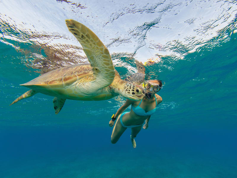 Exploring Tours In The Big Island Hawaii Package