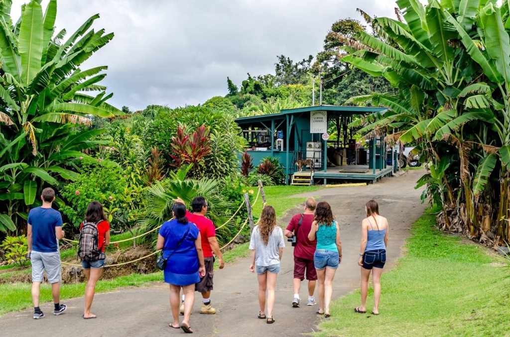 Exploring Kona Farm Tour Packages