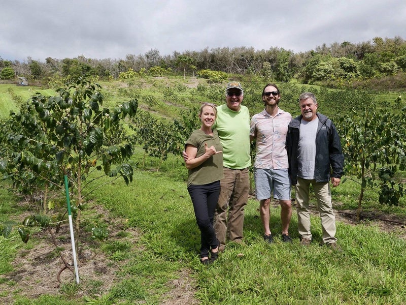 Best Kona Joe's Coffee Plantation Big Island Packages