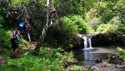 38+ The Big Island Adventures