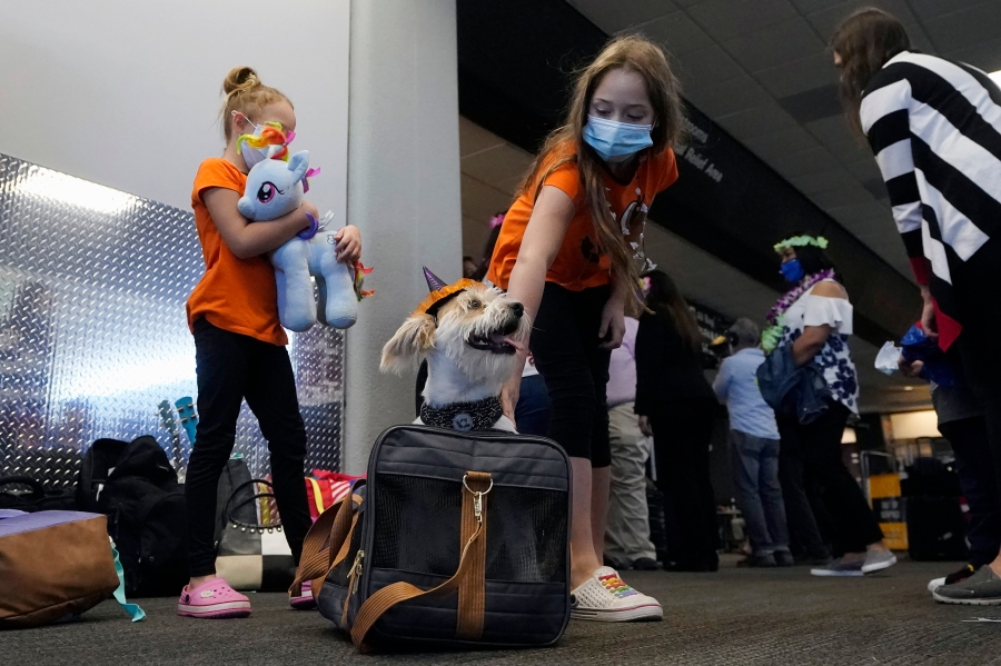 Big Island Opts Out Of Pre Travel Testing Program