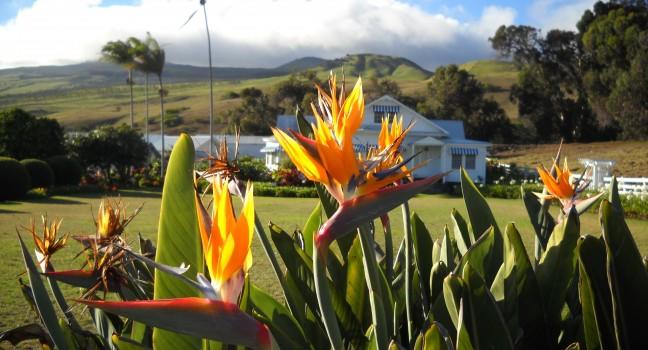 Best Hawaii Big Island Ranch Tour&nbsp;Package