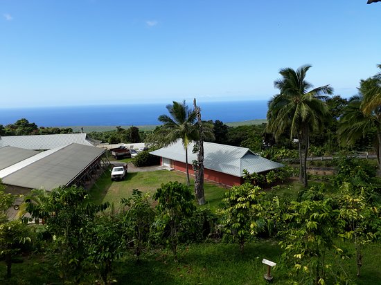 28+ Kona Coffee Plantation Tour&nbsp;Packages