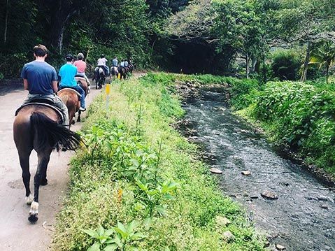 40+ Wagon Tours Big Island Hawaii Packages
