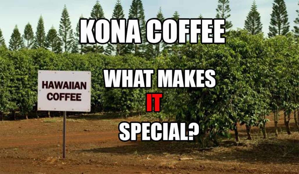 Exploring Best Kona Coffee Farm Big Island&nbsp;Packages