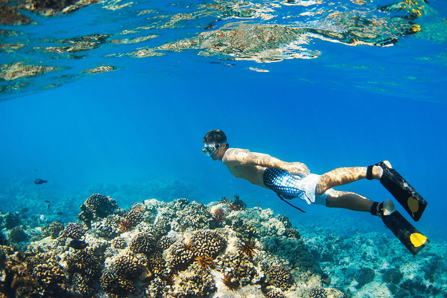 Amazing Captain Cook Snorkeling Tour Big Island&nbsp;Packages