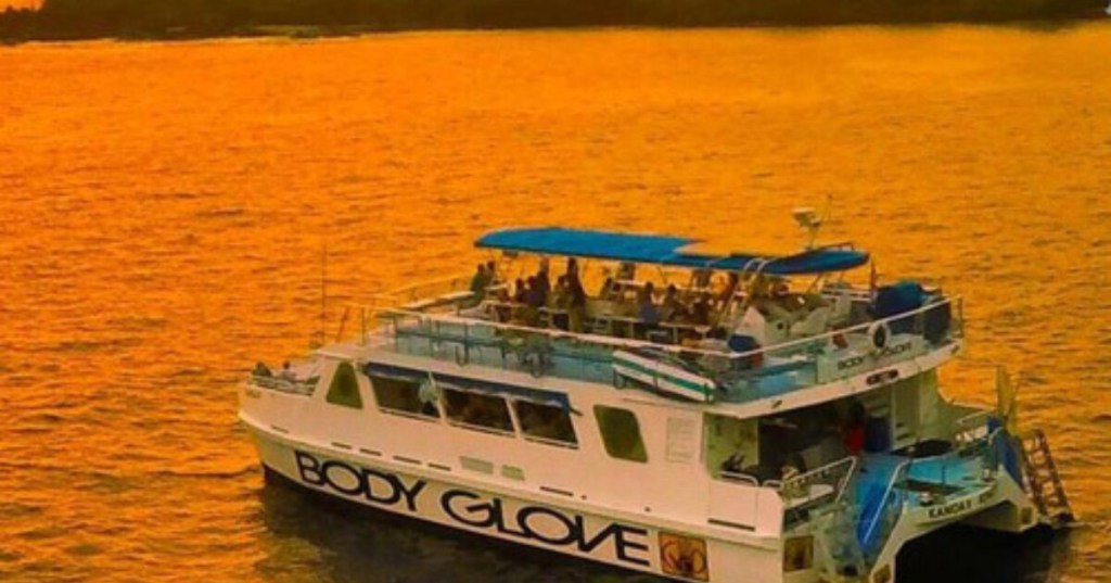 49+ Hawaii Island Tour Cruise Package