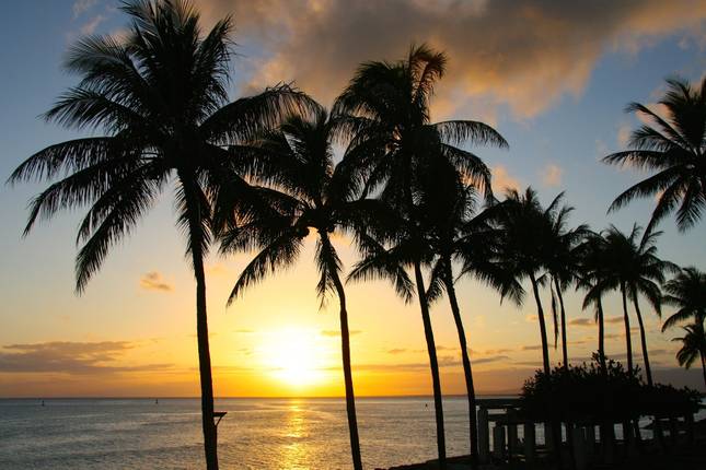 Exploring Best Hawaii Island Tours&nbsp;Package
