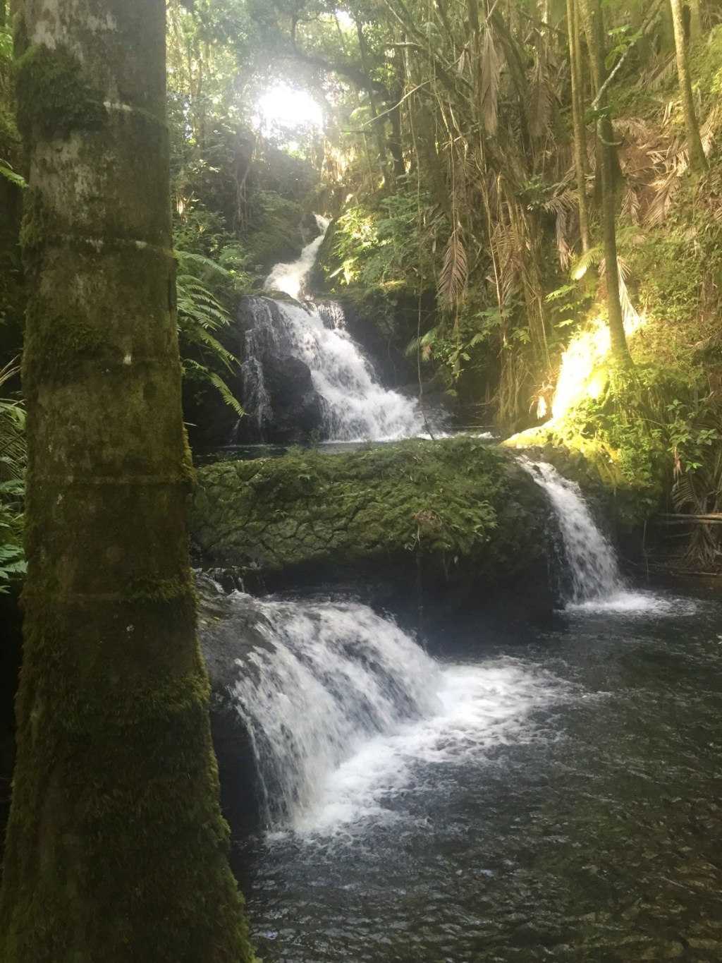 16+ 5 Days In Hawaii Big Island