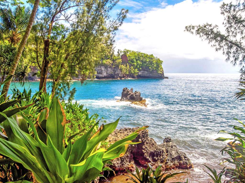 31+ Hilo Hi Tours