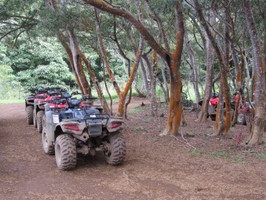 32+ Kona Hawaii Atv Tours&nbsp;Packages