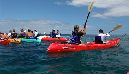 44+ Kona Hawaii Kayak&nbsp;Tours