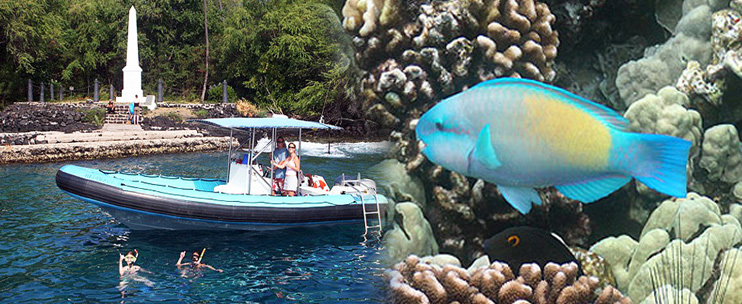 Amazing Snorkeling Trips On The Big Island Of Hawaii&nbsp;Package