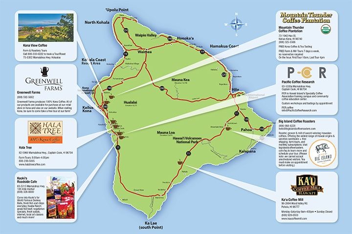 Exploring Big Island Hawaii Coffee Tours Package