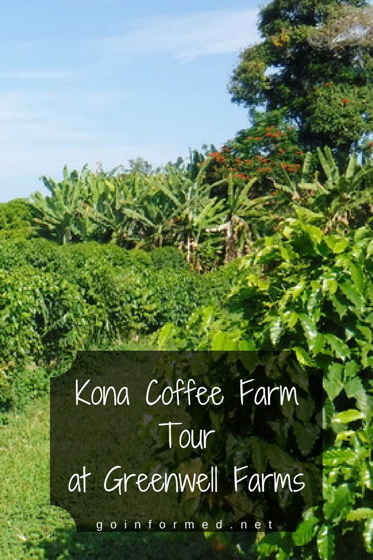 Coffee Farm Tours Near Kona Package