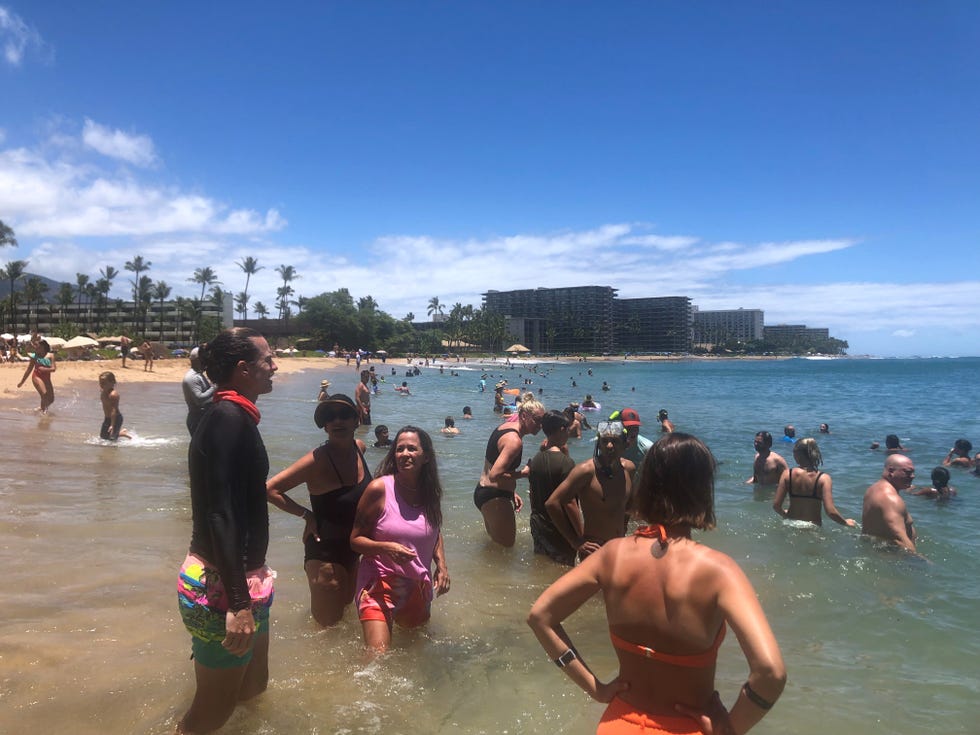 13+ Travel To Big Island Hawaii Coronavirus&nbsp;Package