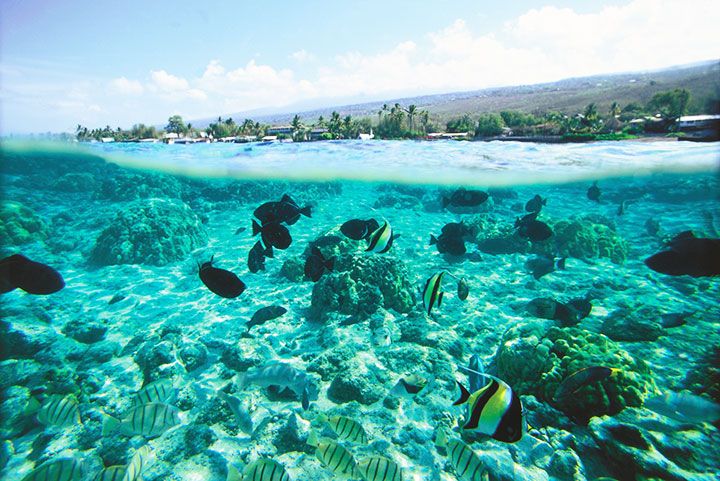 26+ Hawaii Big Island Tourism&nbsp;Packages