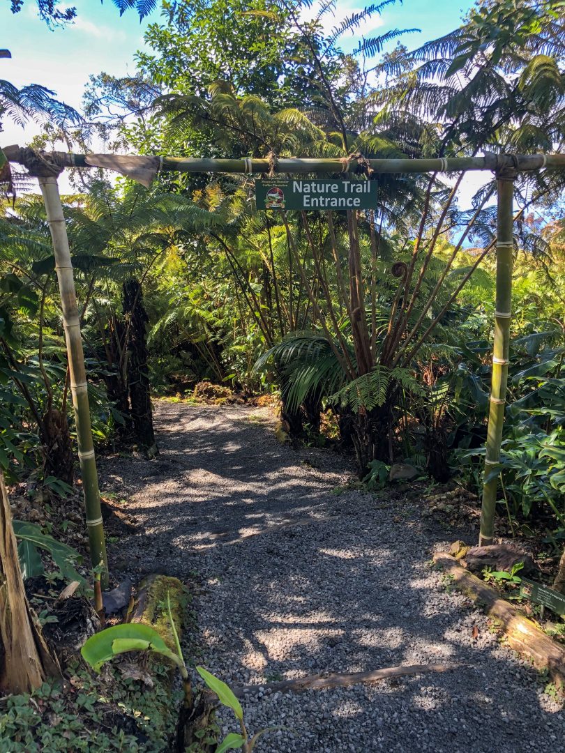 Best Kona Island Coffee Tour&nbsp;Packages