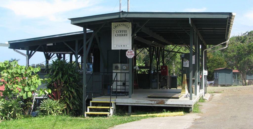 Exploring Big Island Hawaii Coffee Tour&nbsp;Packages
