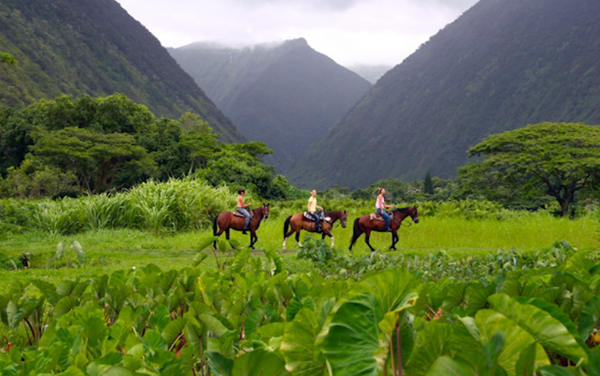 28+ Horseback Riding Tours Big Island Hawaii&nbsp;Packages