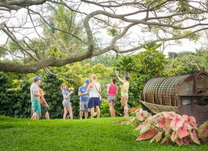 Exploring Best Coffee Tour Kona Hawaii Packages