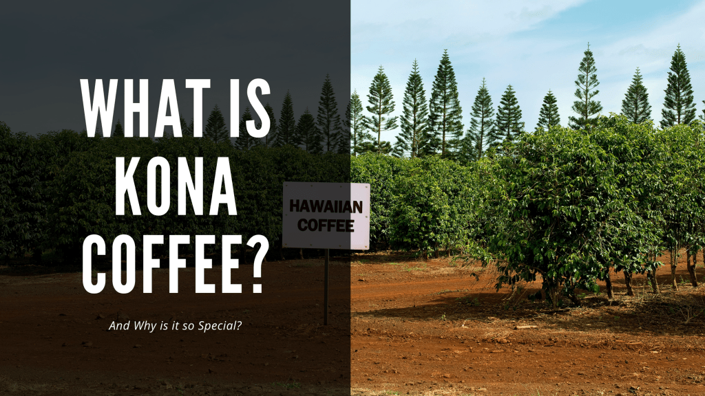 Best Top Coffee Farms In Kona&nbsp;Package