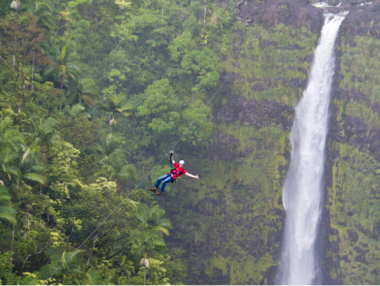 23+ Hilo Zipline Package
