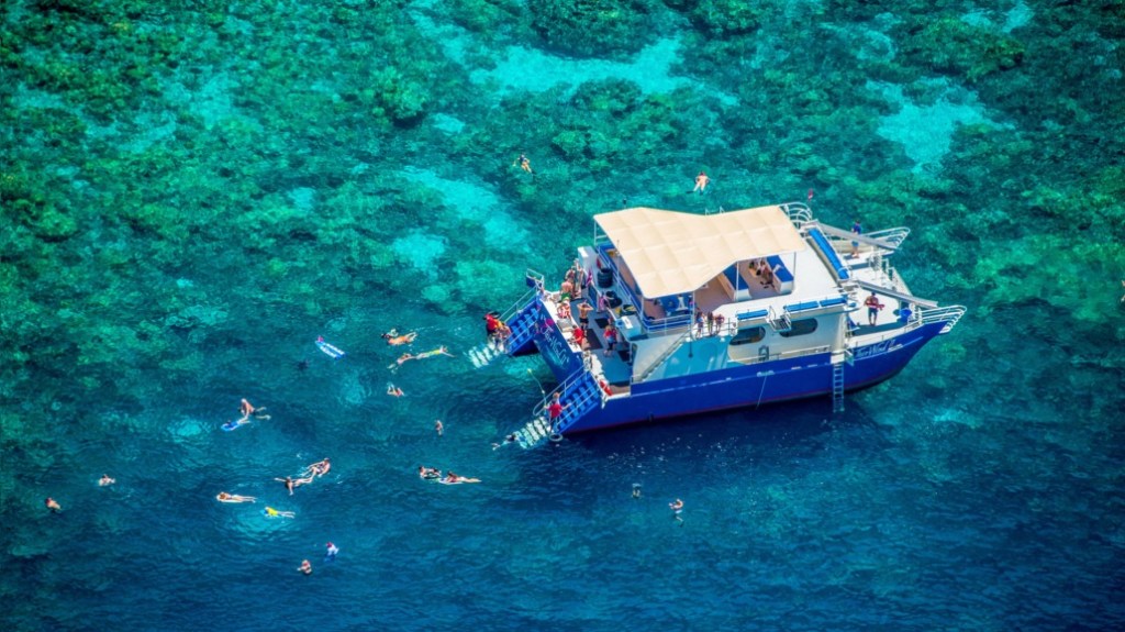 40+ Best Big Island Boat&nbsp;Tours