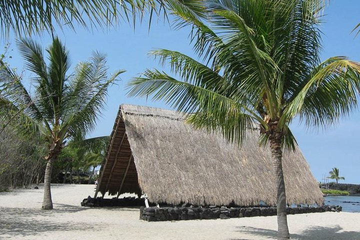 Amazing Kona Bee Tour