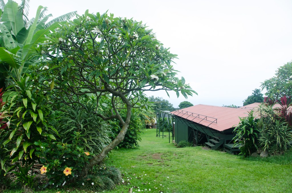 29+ Best Coffee Plantation Tour Big Island&nbsp;Hawaii