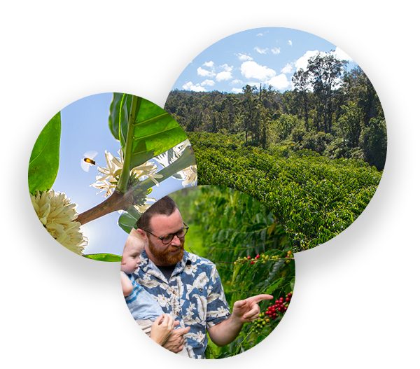17+ Coffee Farm In Kona&nbsp;Package