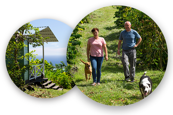 45+ Best Coffee Tour Near Kona Package
