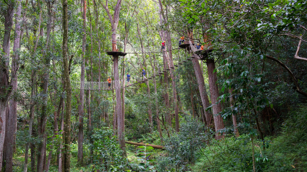 Best Best Zipline Big Island Age 5