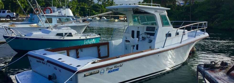 Exploring Hilo Boat Tours
