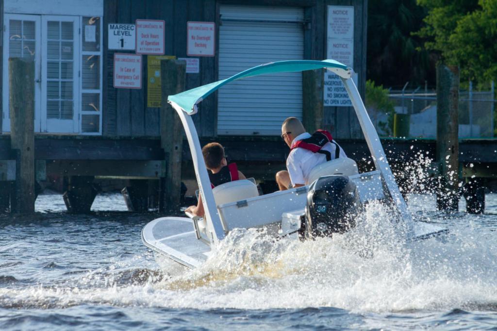 Amazing Big Cat Adventures Amelia Island Packages