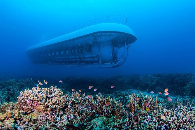 Exploring Big Island Submarine Tour Packages
