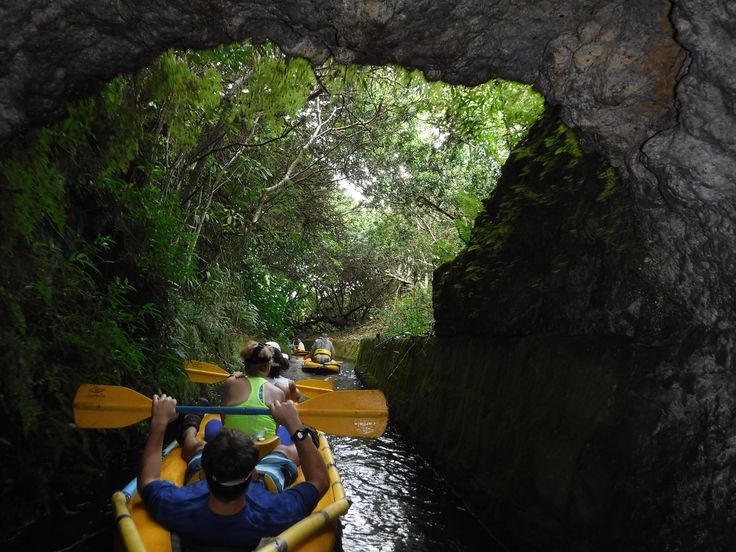 50+ Big Island Ditch&nbsp;Tour