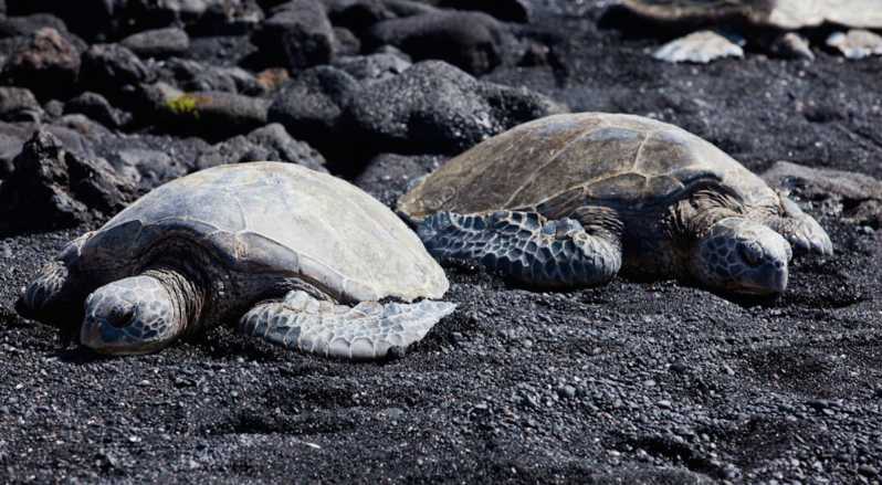 21+ Big Island Twilight Volcano And Stargazing&nbsp;Tour