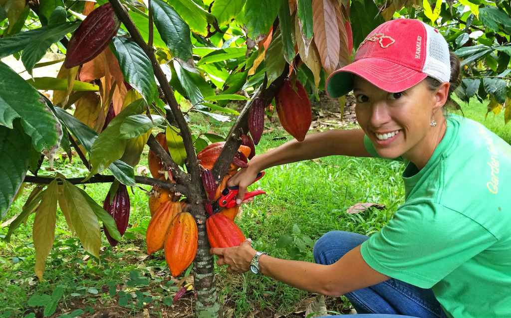 47+ Kona Chocolate Farm Tour Package