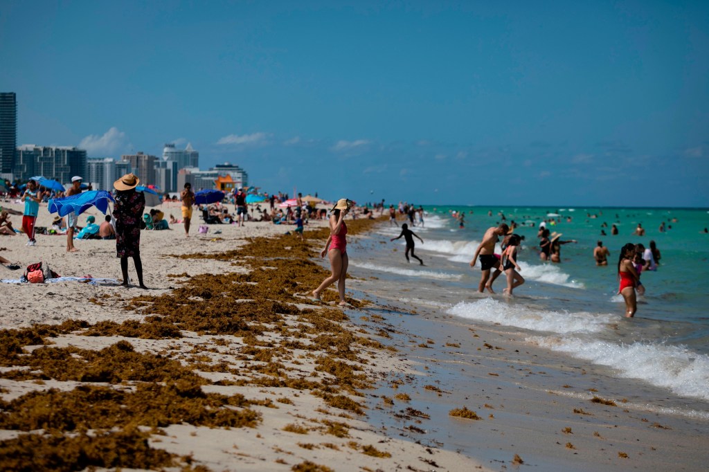 14+ Does Hawaii Have Travel Restrictions Right Now