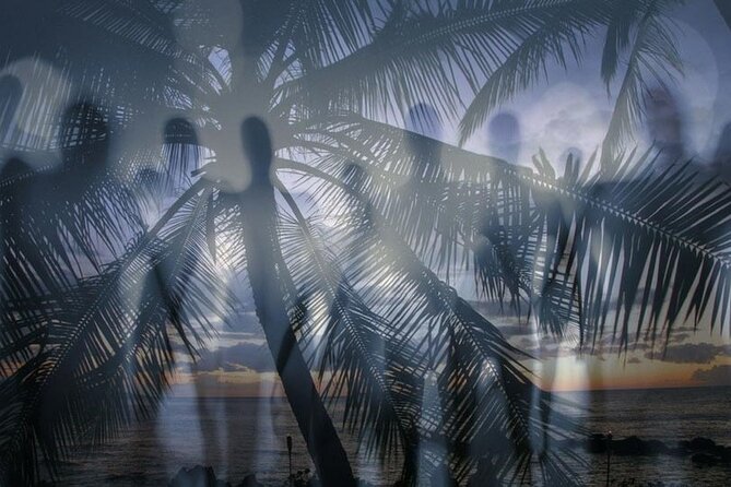 19+ Kona Palace Tour&nbsp;Packages