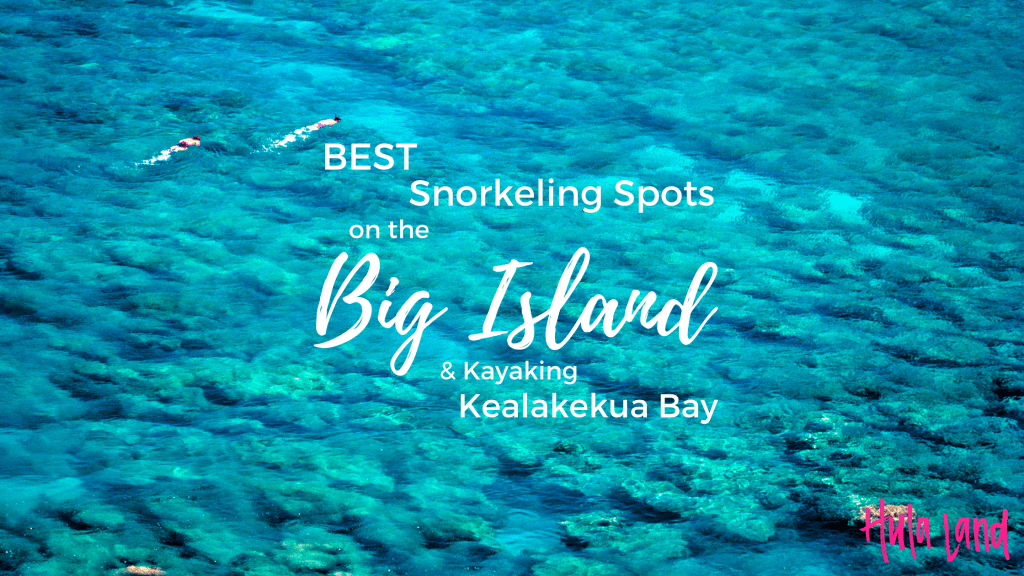 Best Best Snorkeling Tours In Kona Hawaii&nbsp;Packages