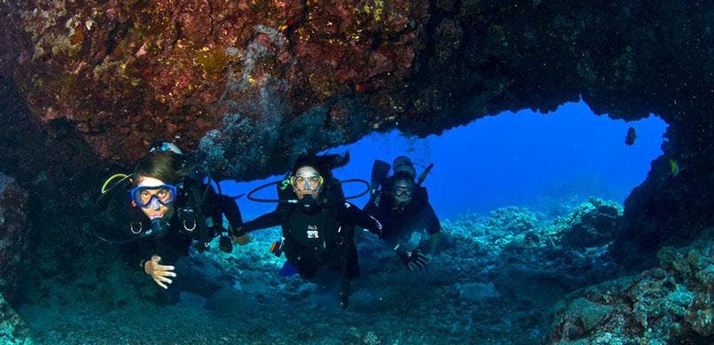 28+ Big Island Ocean Adventures