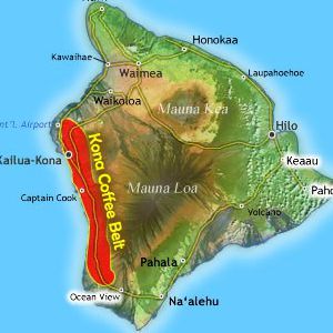 20+ Big Island Coffee&nbsp;Farms