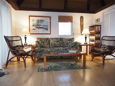 49+ Big Island Vacation Condo Rentals