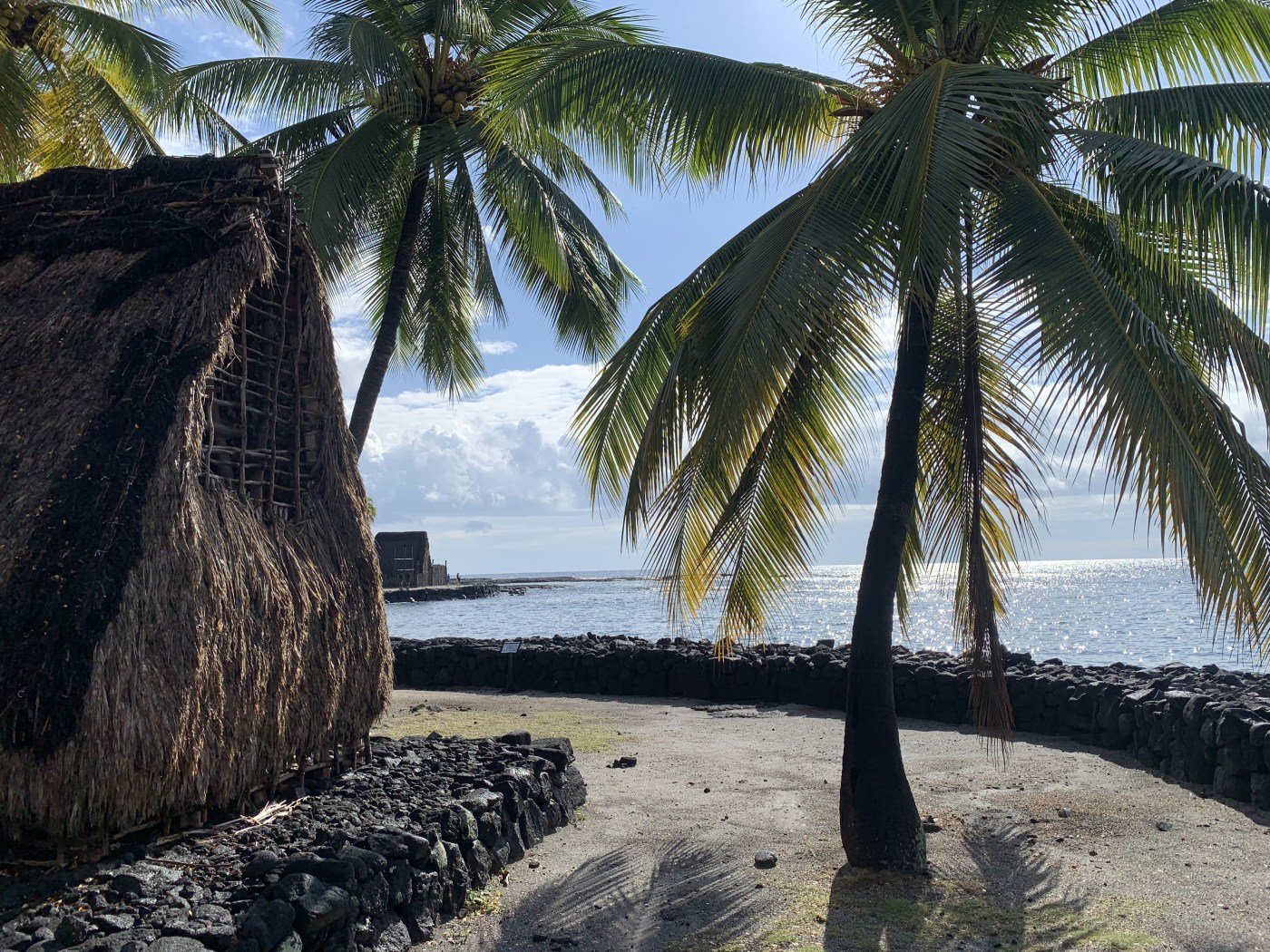 Macadamia nut farm with kona coffee samplings. The Big Island Hawaii Day 7 Investing Travel And The Great Outdoors