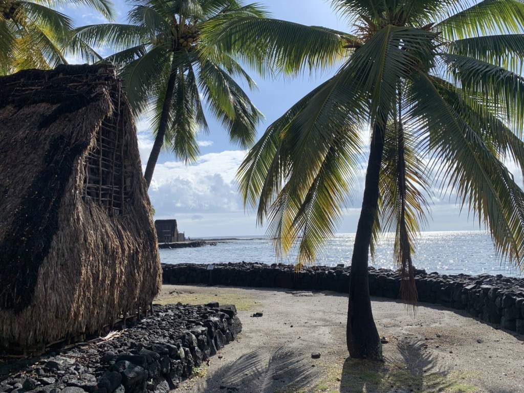 Big Island Macadamia Nut Tour Package